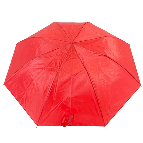 Red Windproof 2-Fold Auto Open Umbrella - Super Light and Foldable